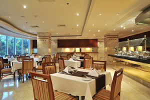 Hotel Safir Cairo Giza Zewnętrze zdjęcie